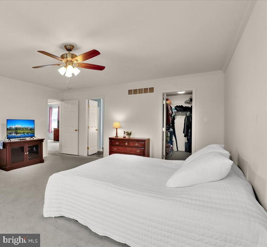 11 Fallowfield Cir Property Photo 14
