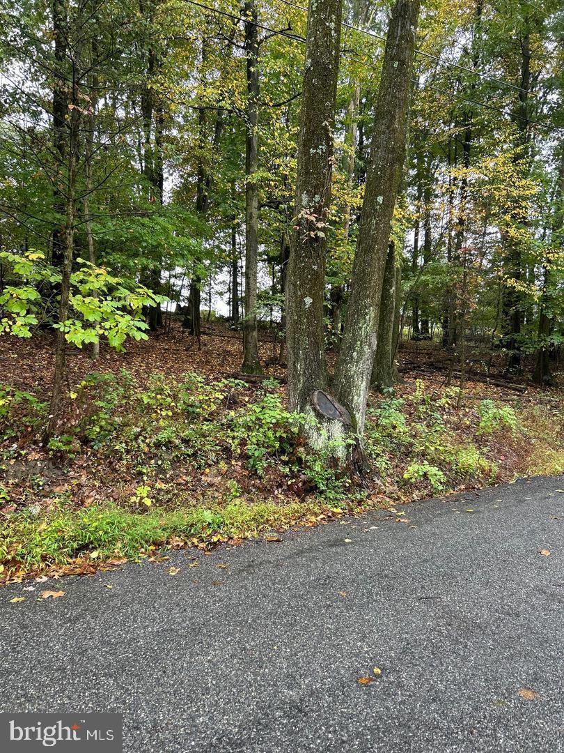 0 Schock Rd Property Photo 2