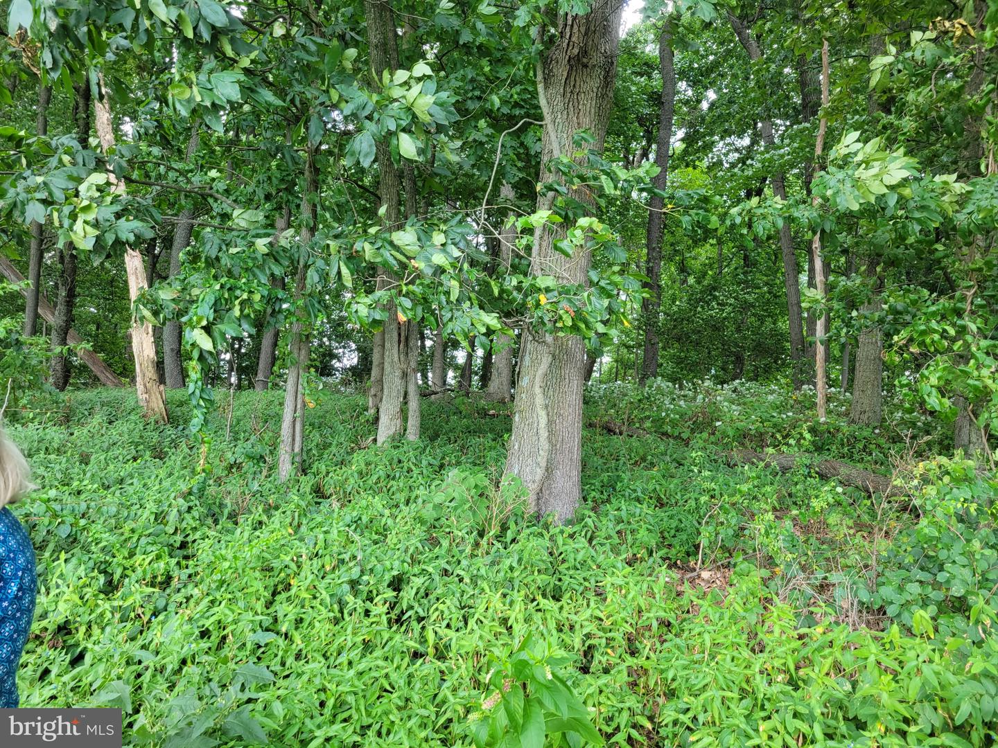 0 Schock Rd Property Photo 3