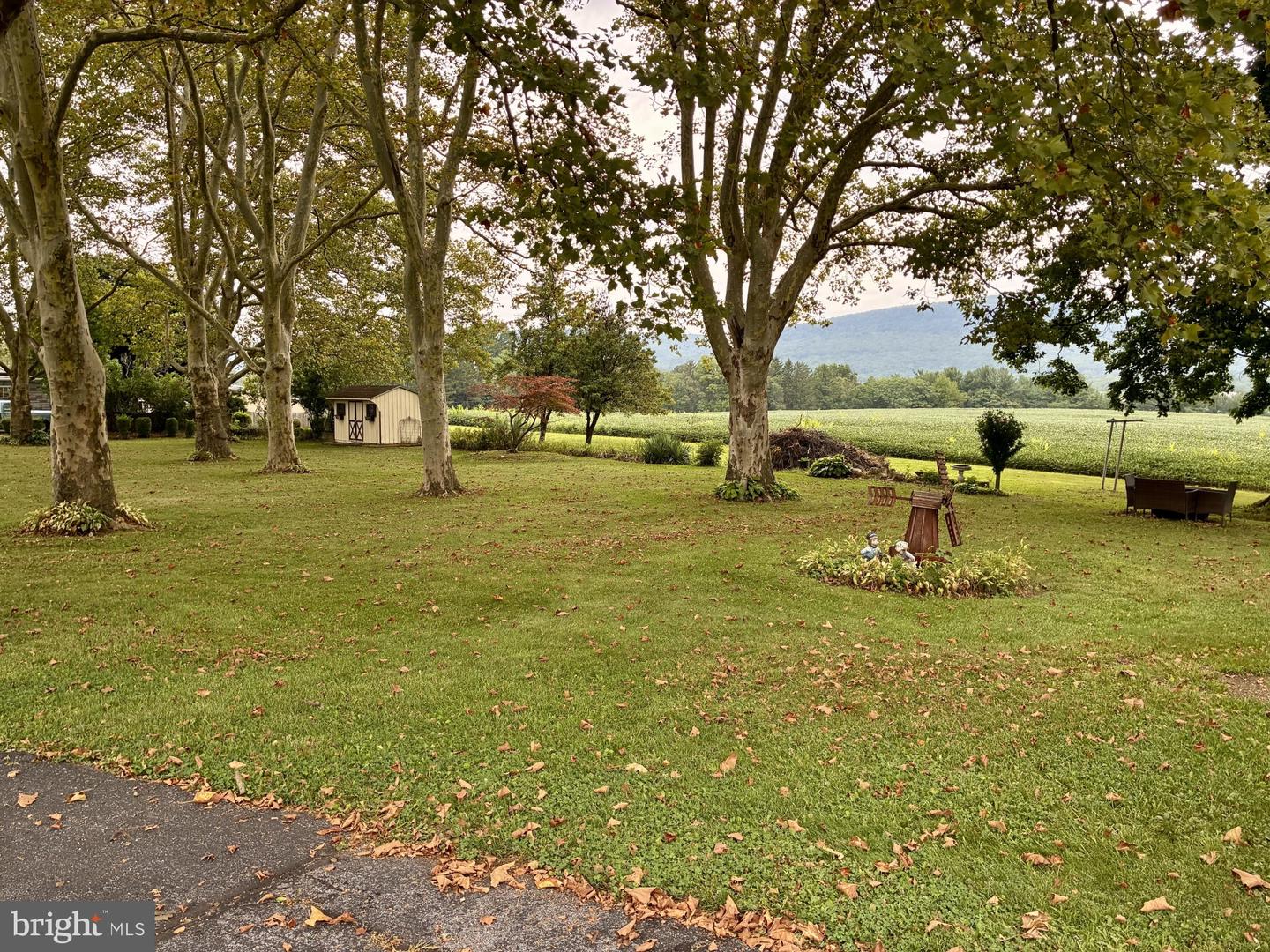 1917 Old Route 22 Property Photo 41