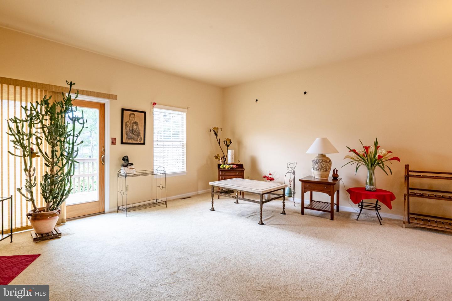 7 Charlemont Ct Property Photo 8