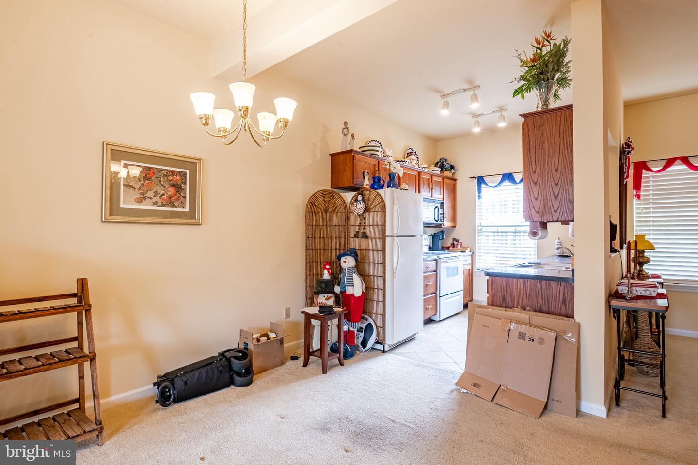 7 Charlemont Ct Property Photo 10