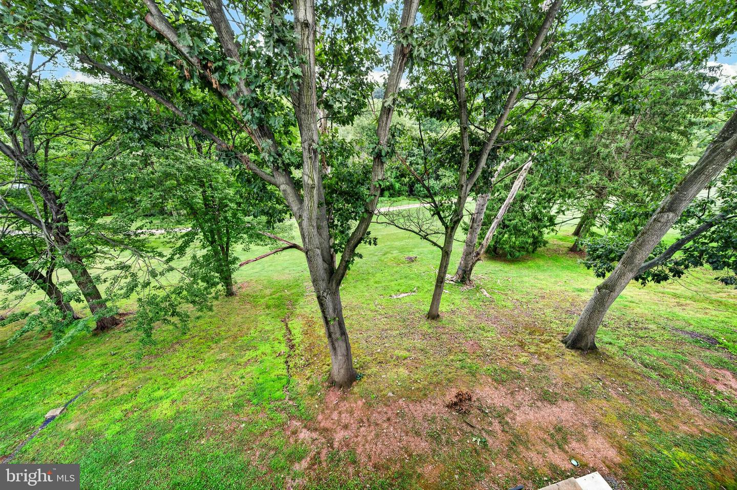 5c Fairway Rd Property Photo 32