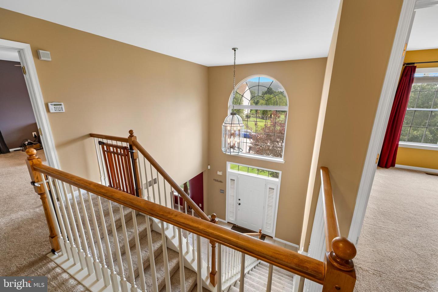 236 Buckhead Ln Property Photo 21