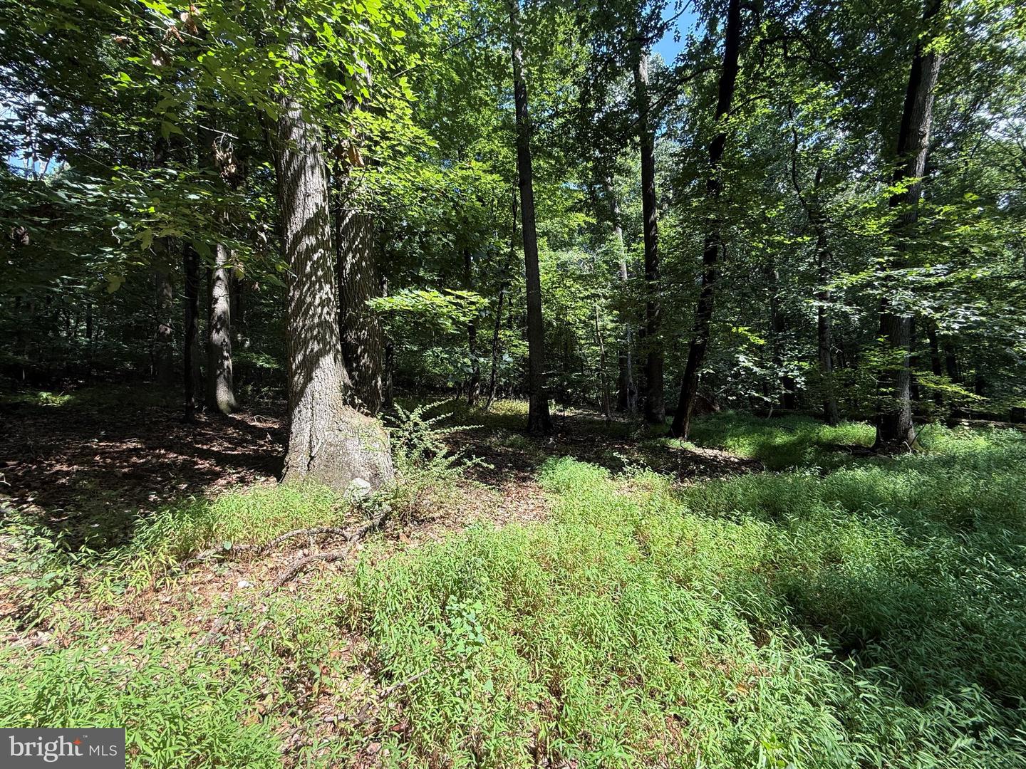 2091 Welsh Rd Property Photo 7