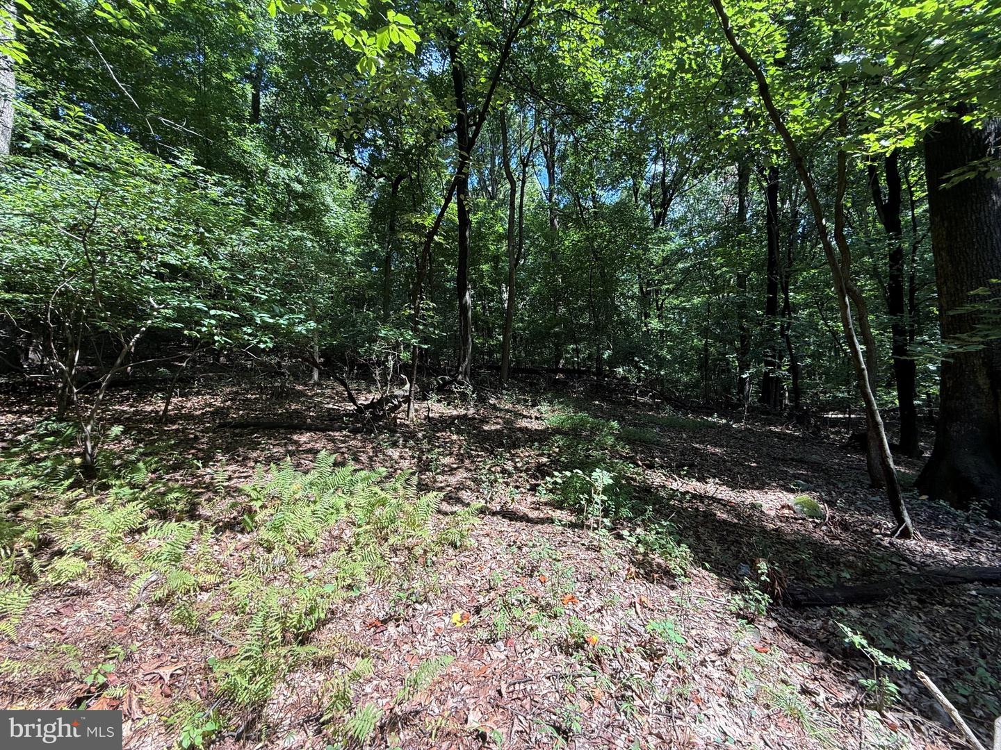 2091 Welsh Rd Property Photo 8