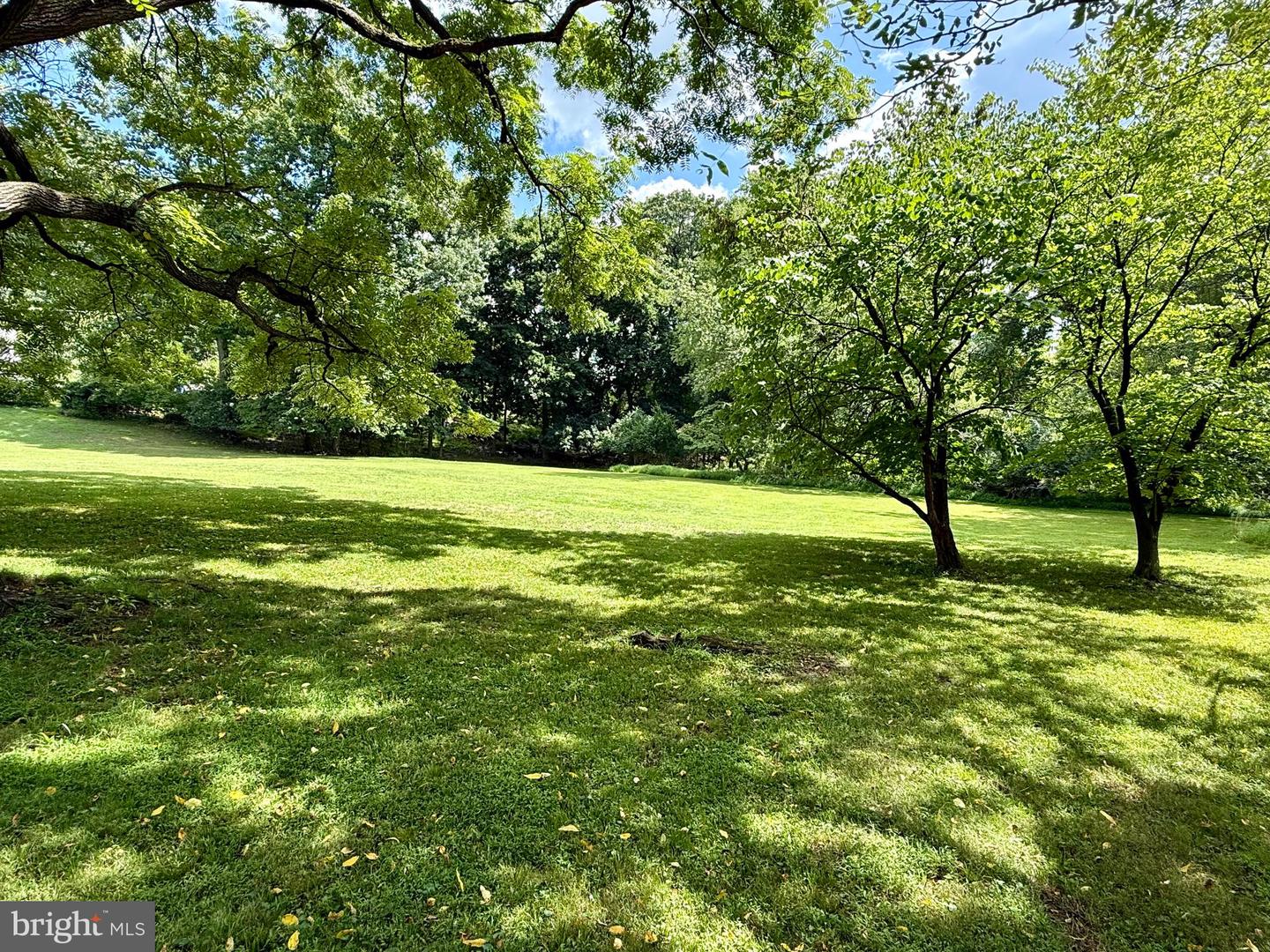 3646 Chestnut St Property Photo 13