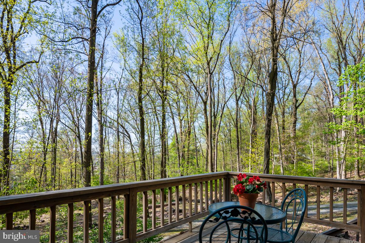515 Kulps Rd Property Photo 58