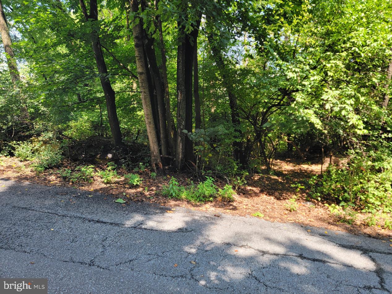 3950 Perkiomen Ave Property Photo 1