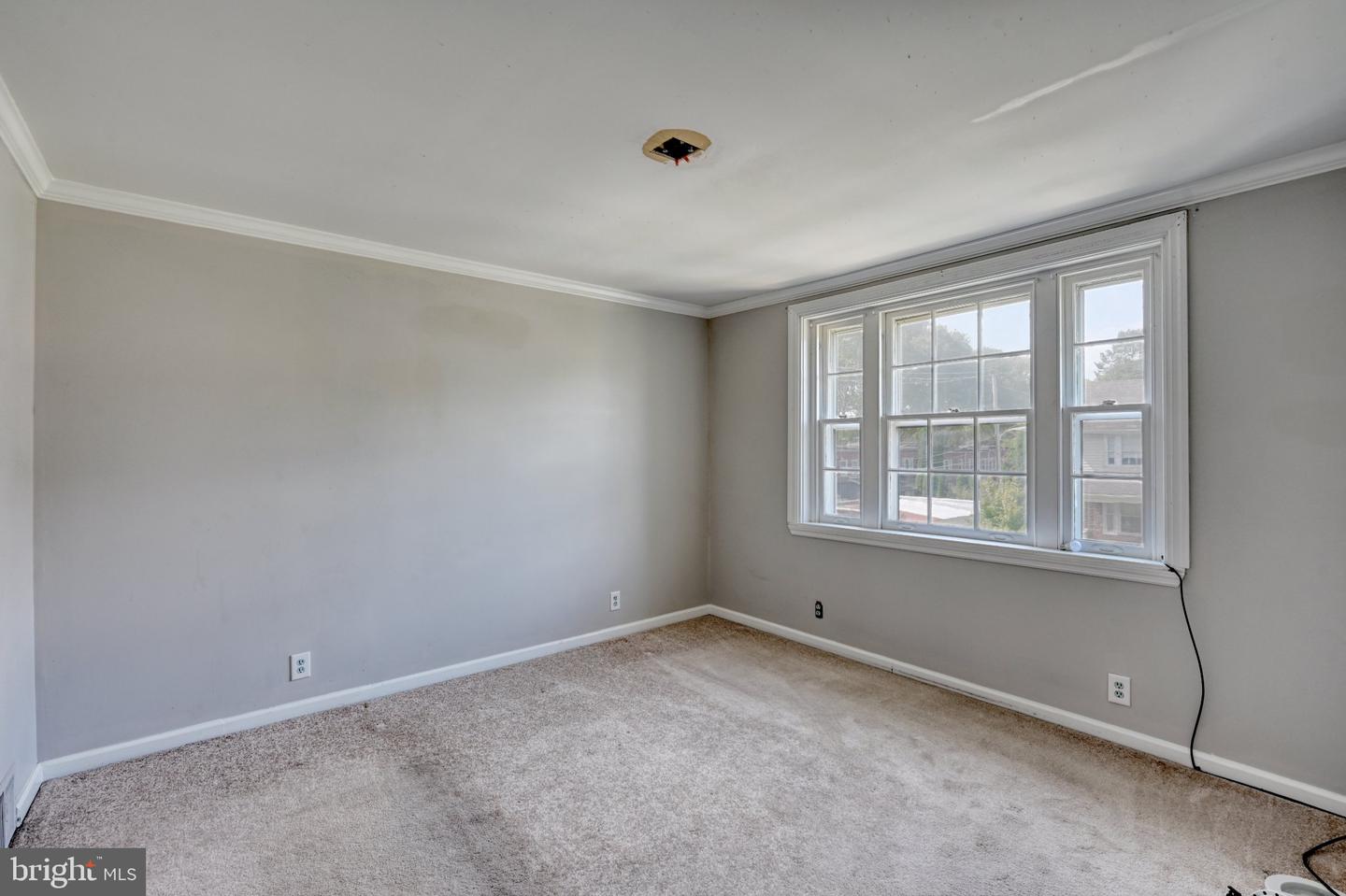 419 Ann St Property Photo 20