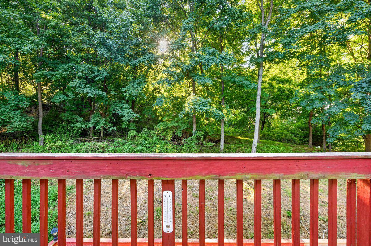 65 Hess Ln Property Photo 47