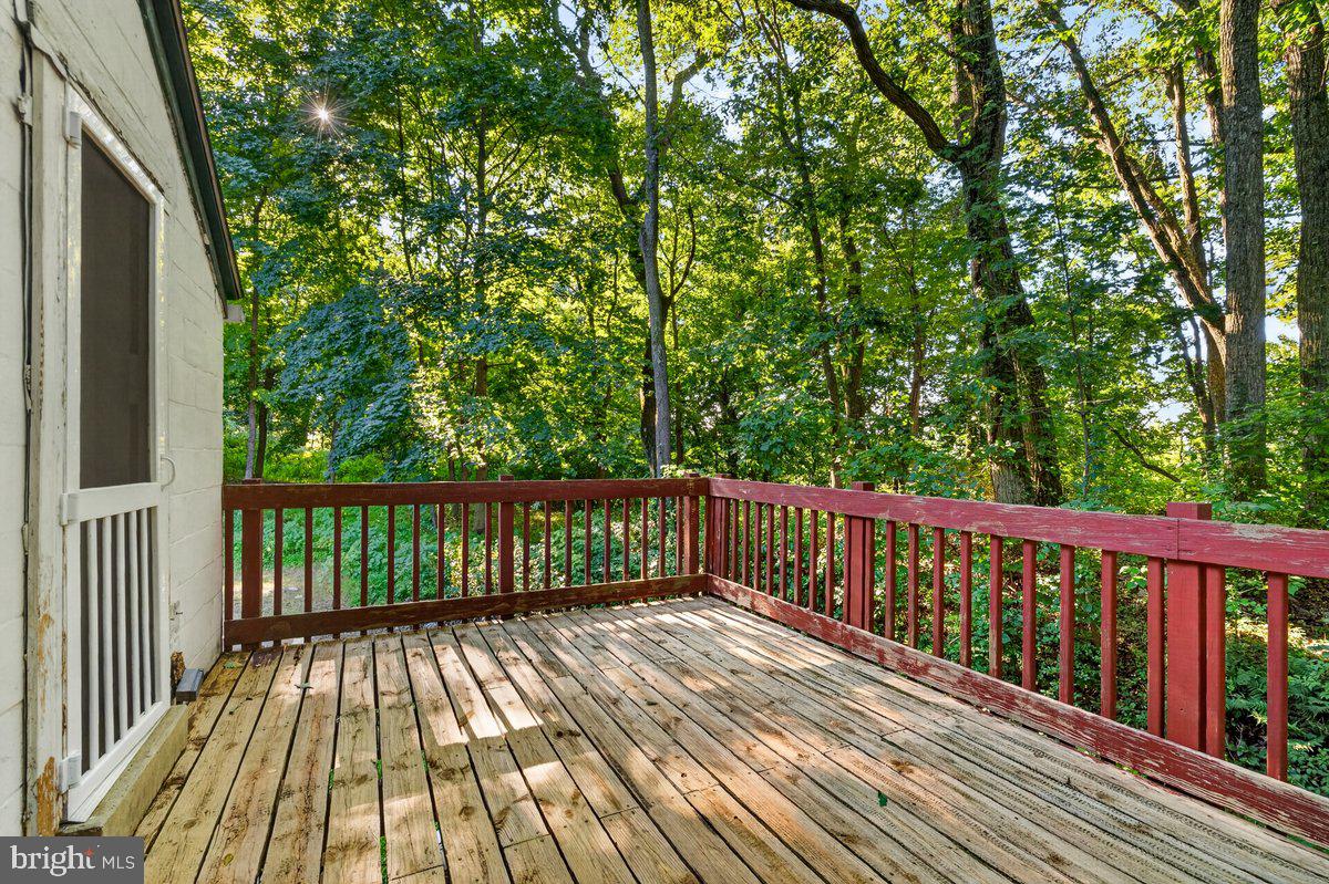 65 Hess Ln Property Photo 49