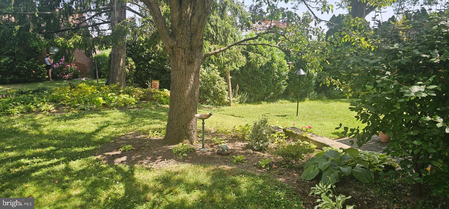 313 E Broad St Property Photo 8