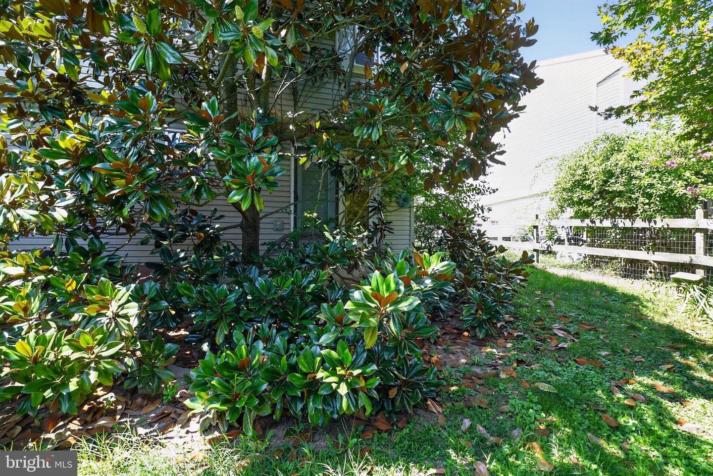 44 Aldine Ave Property Photo 4