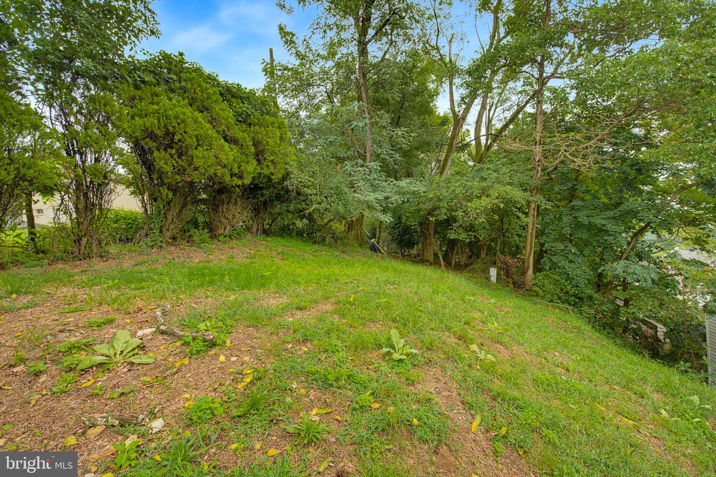 109 Ridge St Property Photo 39