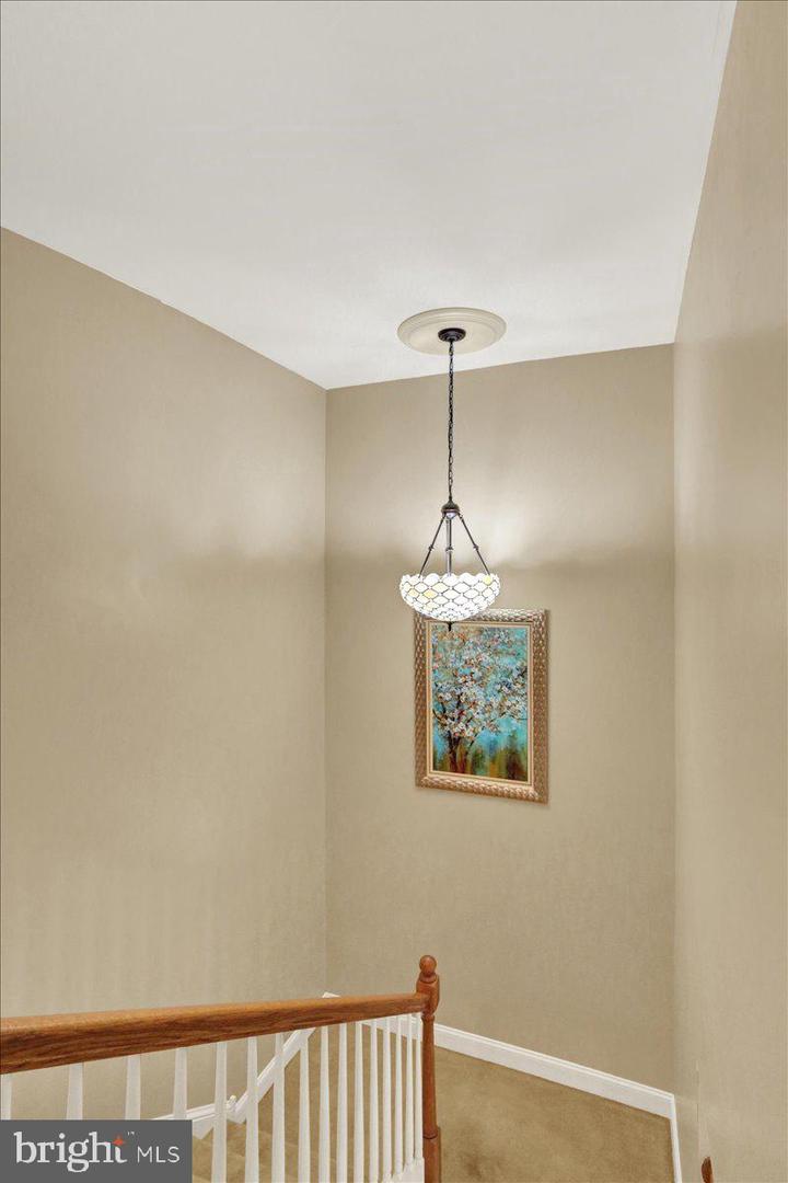 5 Emily Ct Property Photo 28