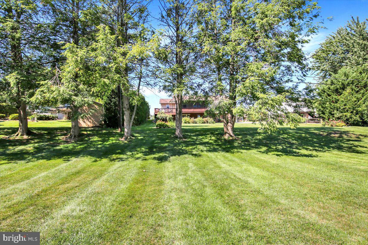 1616 Sherwood Rd Property Photo 3