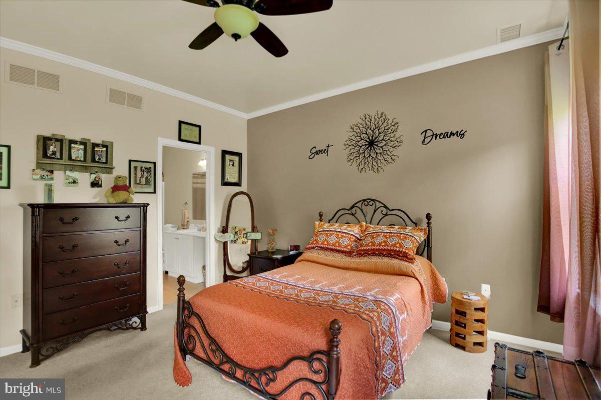 44 Turning Leaf Way Property Photo 14