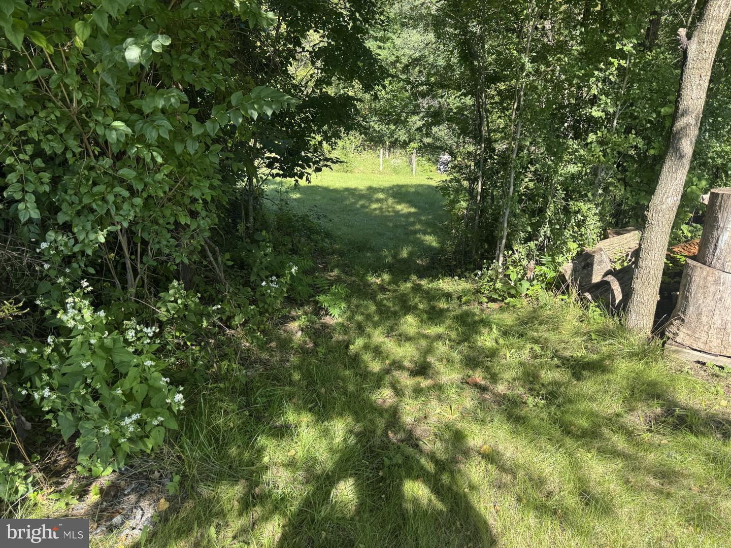 419 Moss Aly Property Photo 17