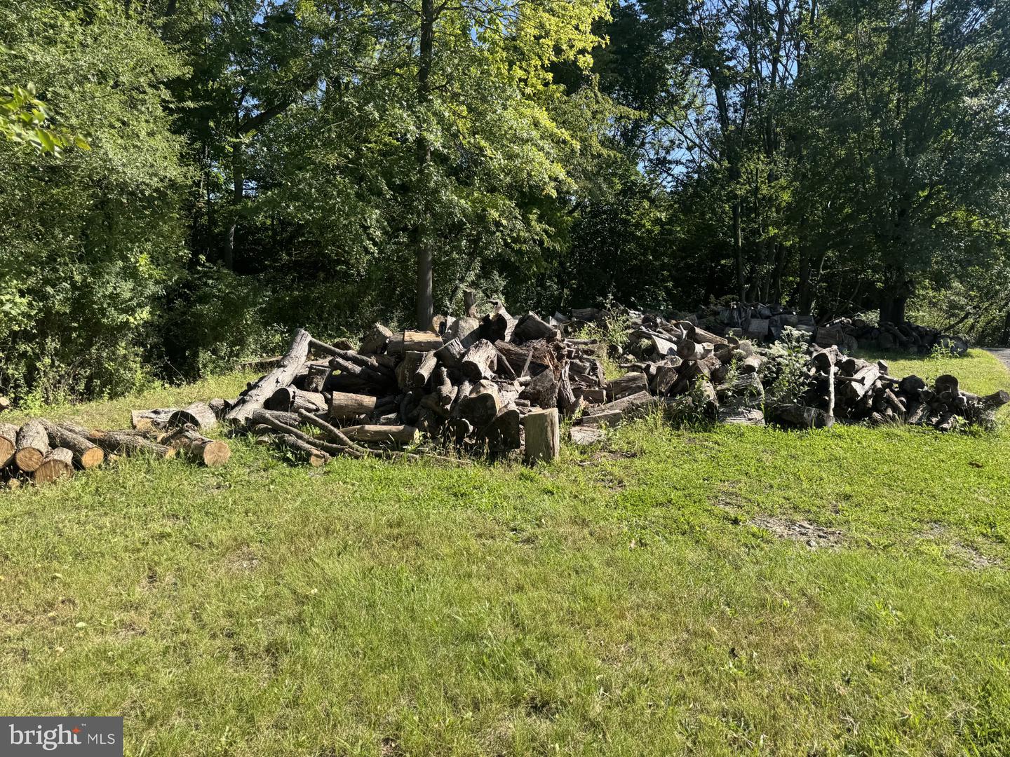 419 Moss Aly Property Photo 18