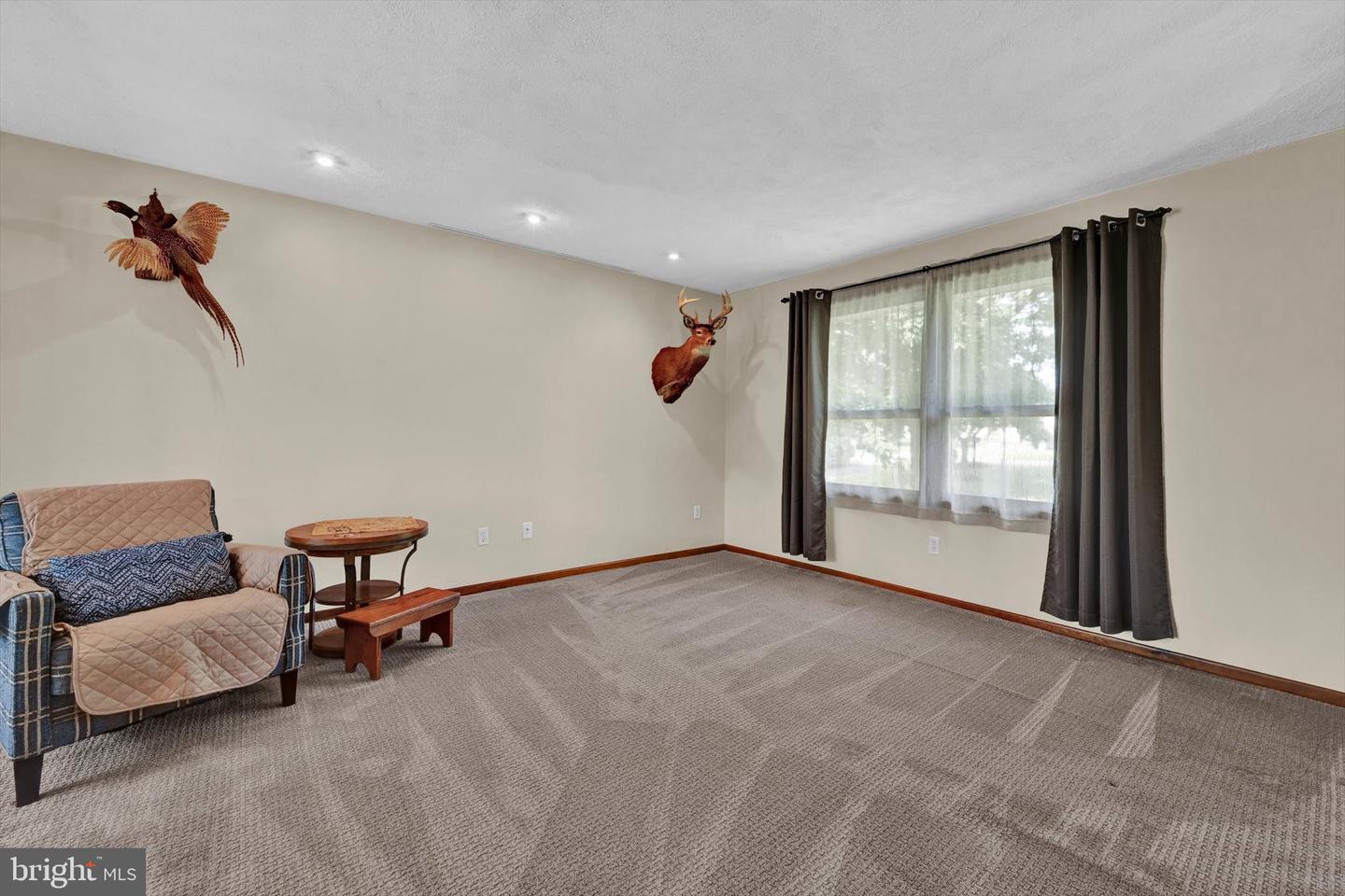 79 Hill Rd Property Photo 5