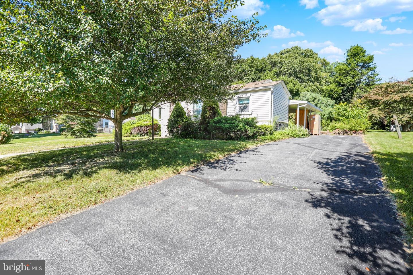 44 Alsace Ave Property Photo 5