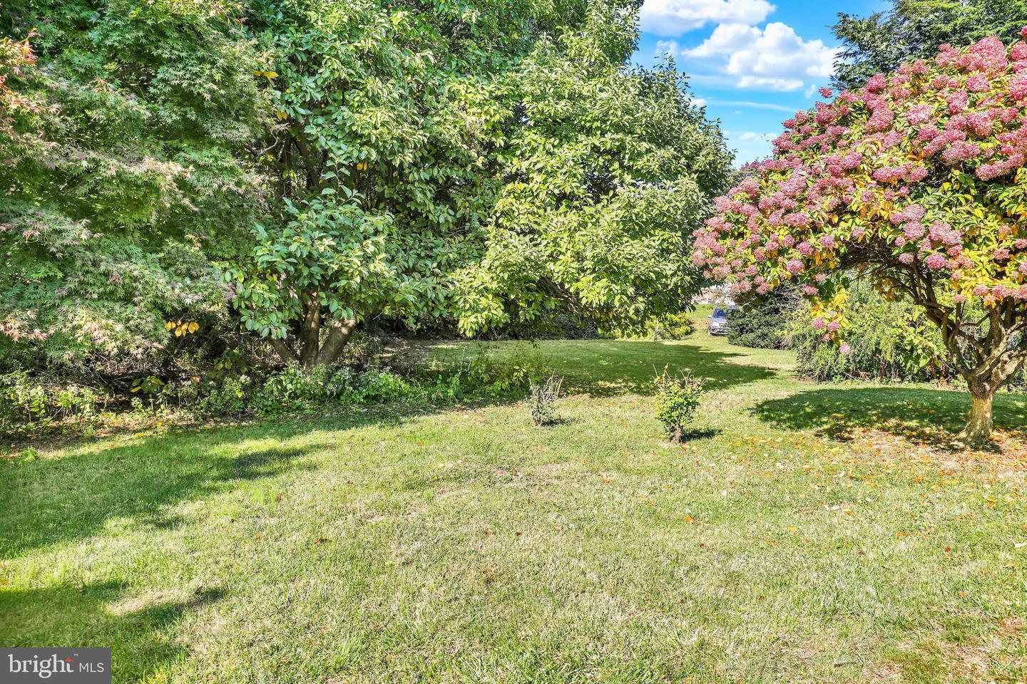 44 Alsace Ave Property Photo 9