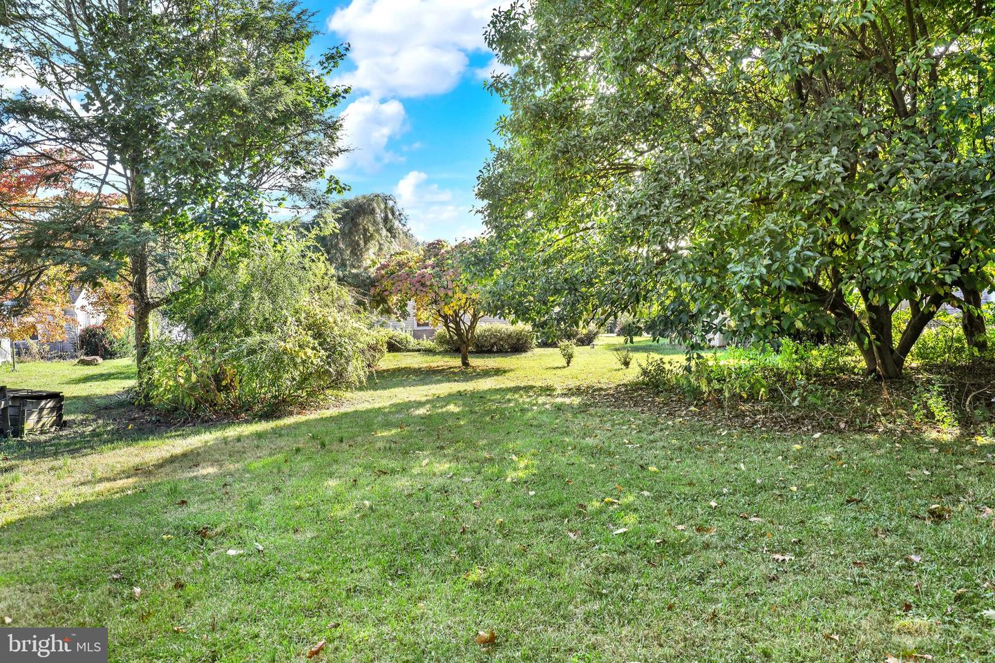44 Alsace Ave Property Photo 10