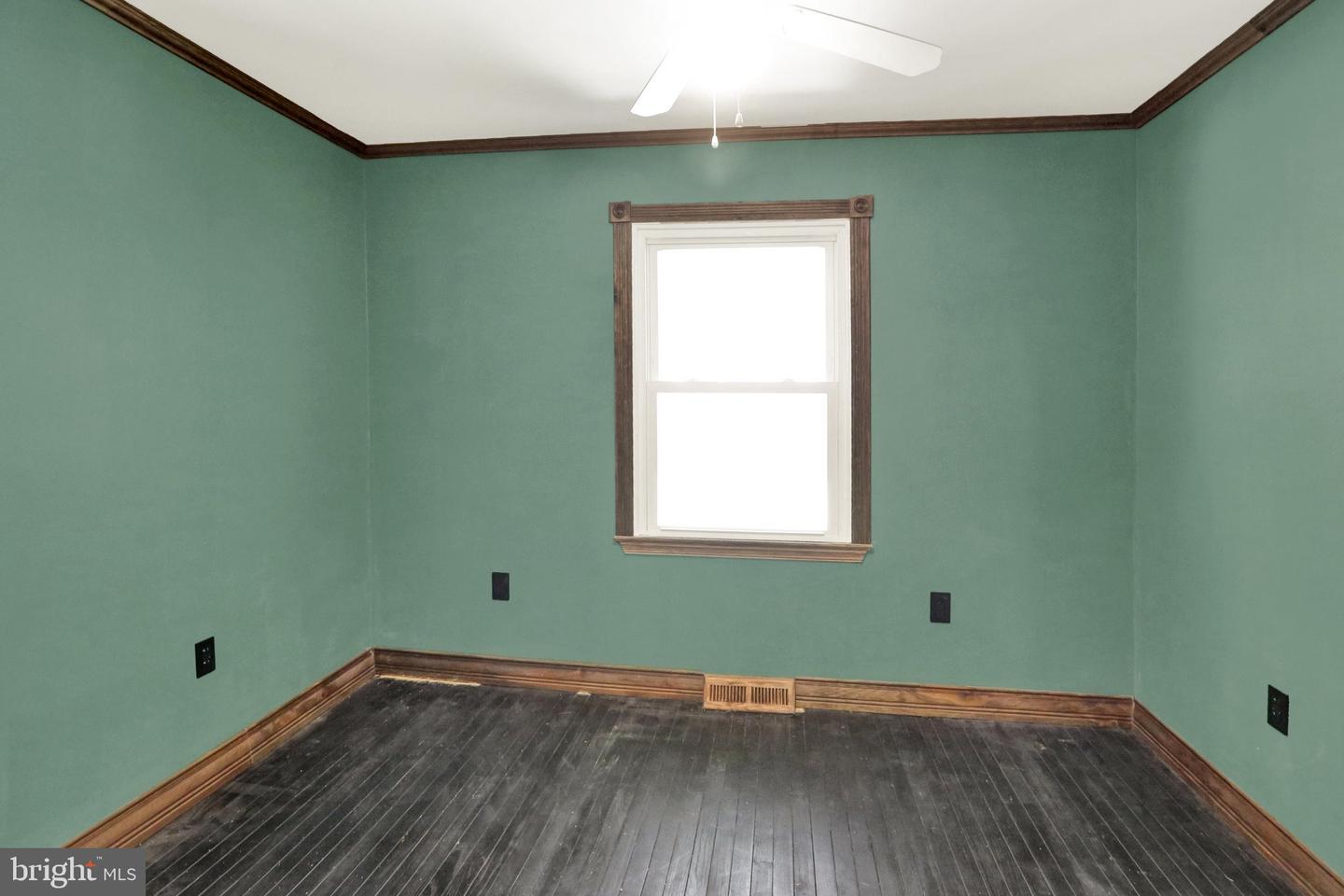 44 Alsace Ave Property Photo 13