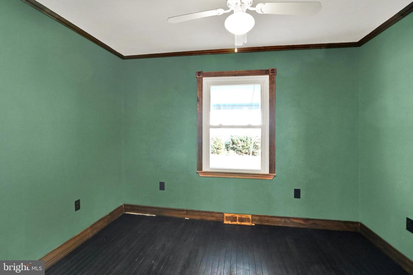 44 Alsace Ave Property Photo 26