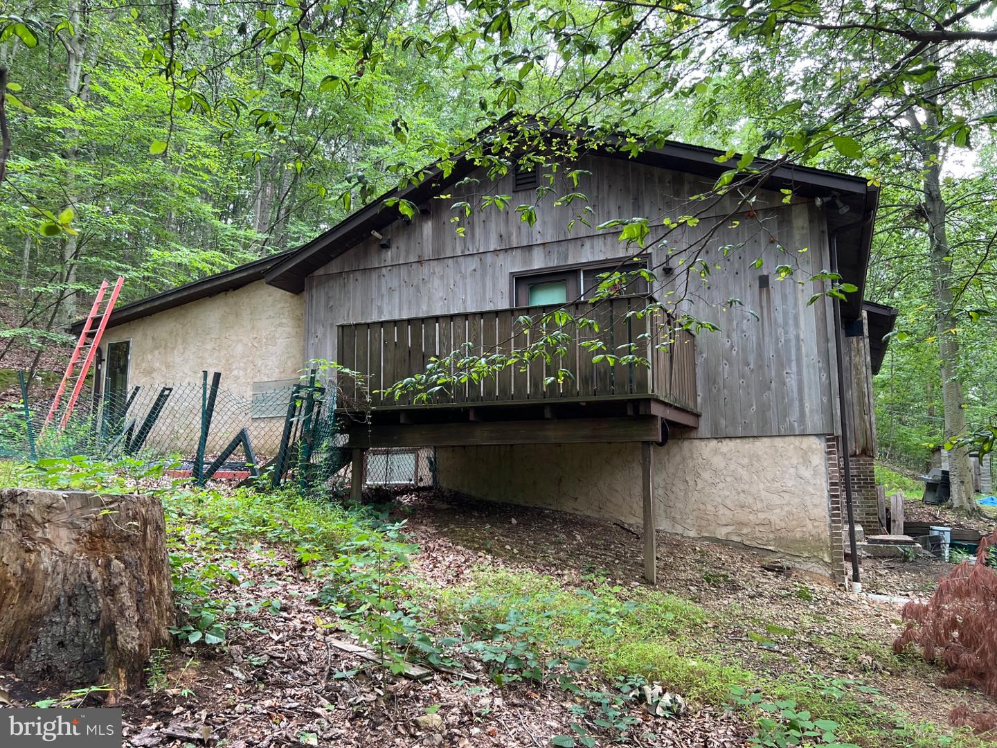 233 Club Road Property Photo 4