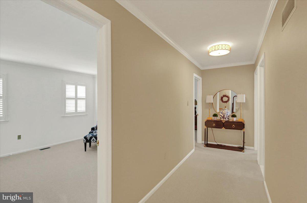 3104 Daniel Dr Property Photo 23
