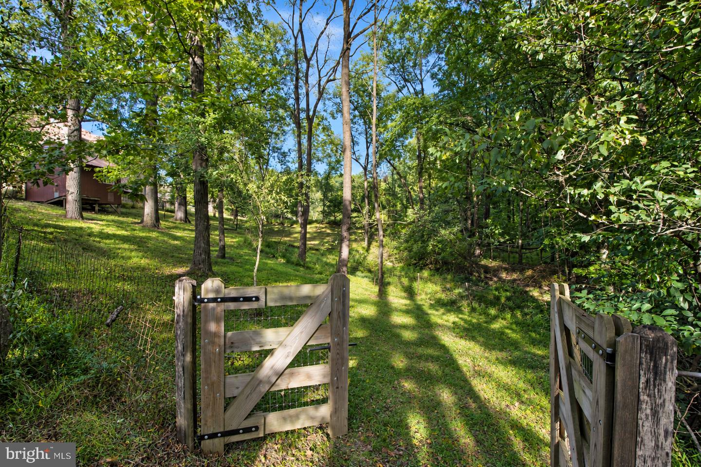 43 Mine Rd Property Photo 116