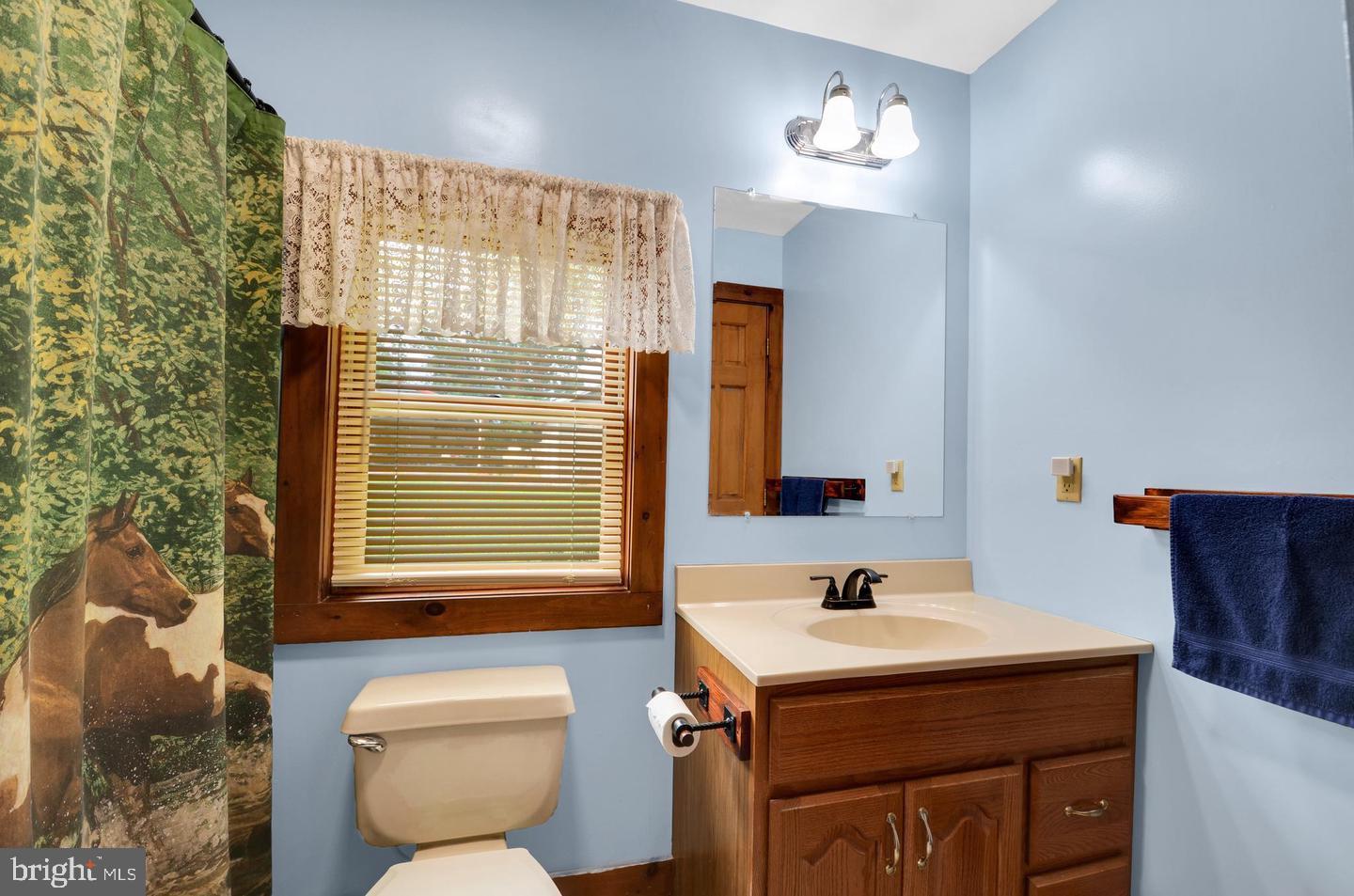 3390 Mountain Rd Property Photo 18