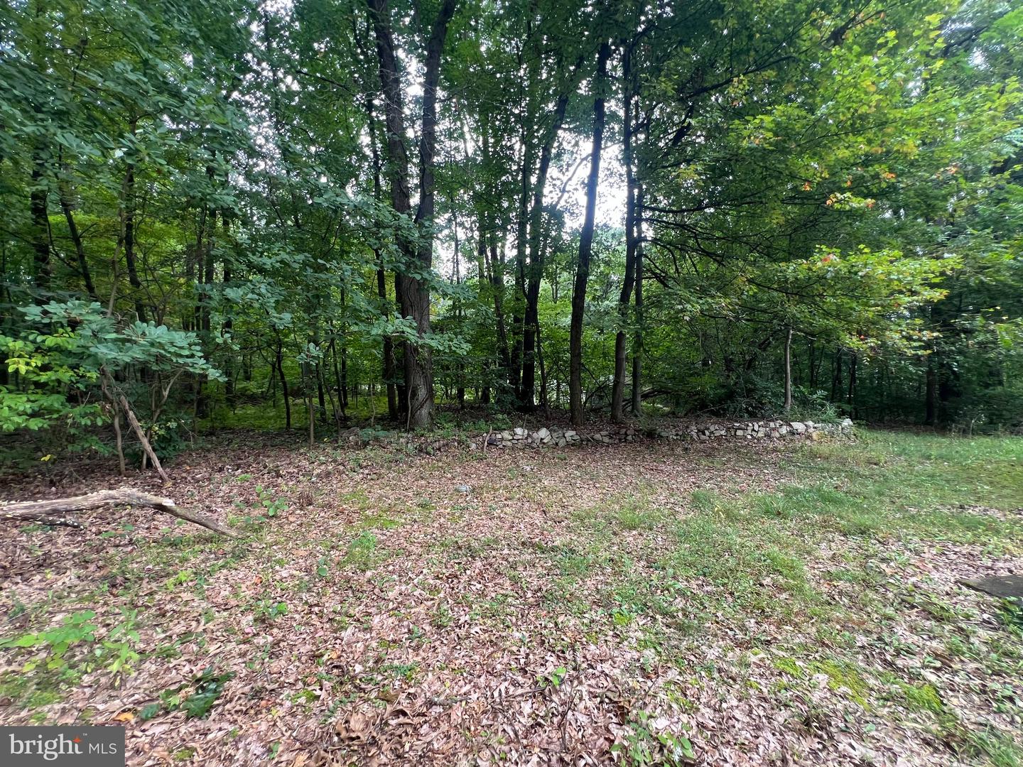 162 Stitzer Rd Property Photo 61