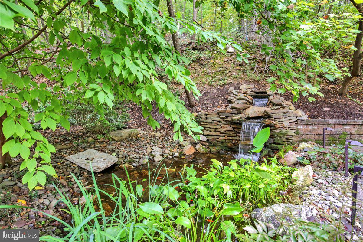 45 Kutz Rd Property Photo 5