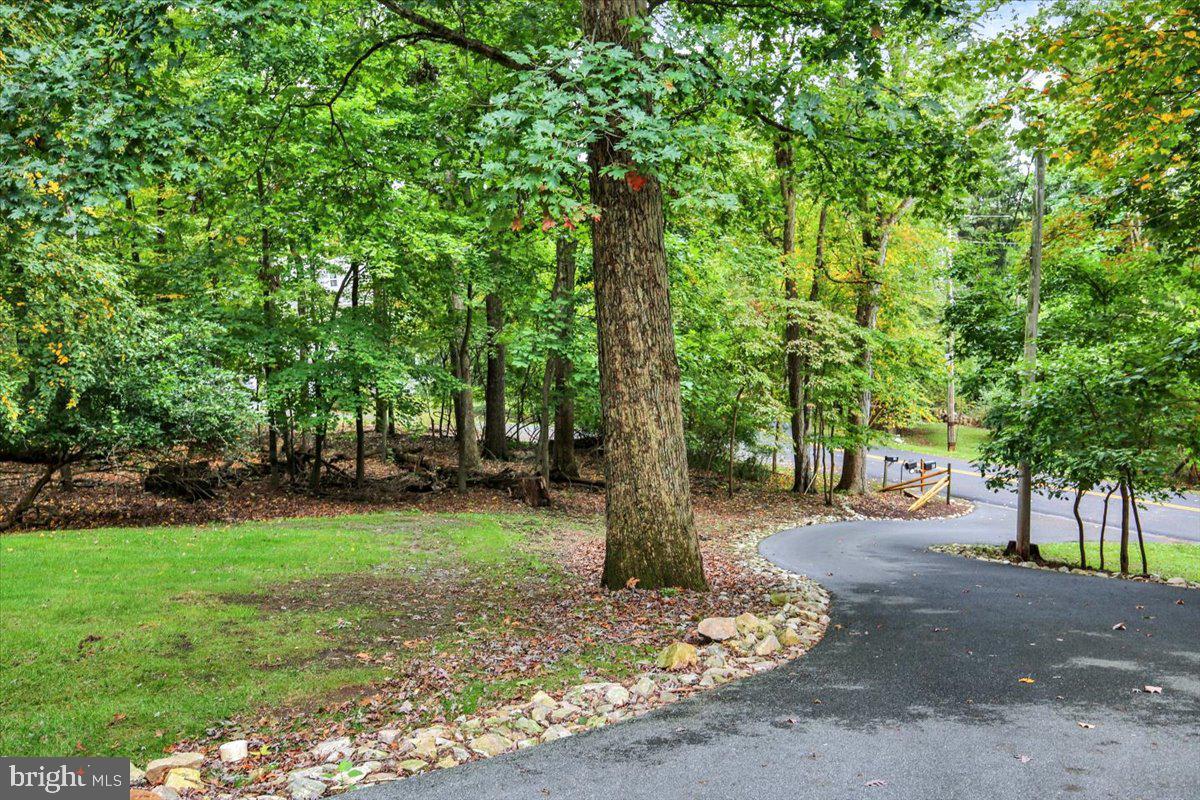 45 Kutz Rd Property Photo 59