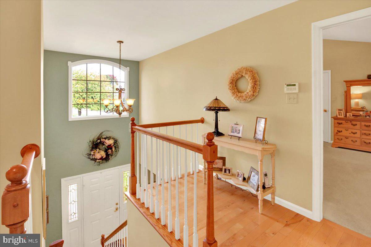 300 Elizabeth Dr Property Photo 29