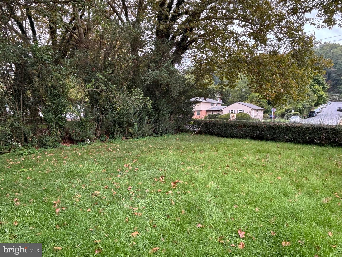 605 Carsonia Ave Property Photo 11