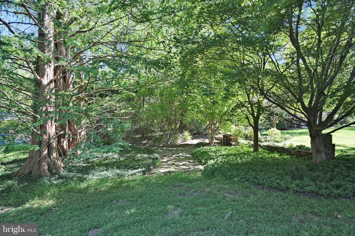 782 Mount Penn Rd Property Photo 101