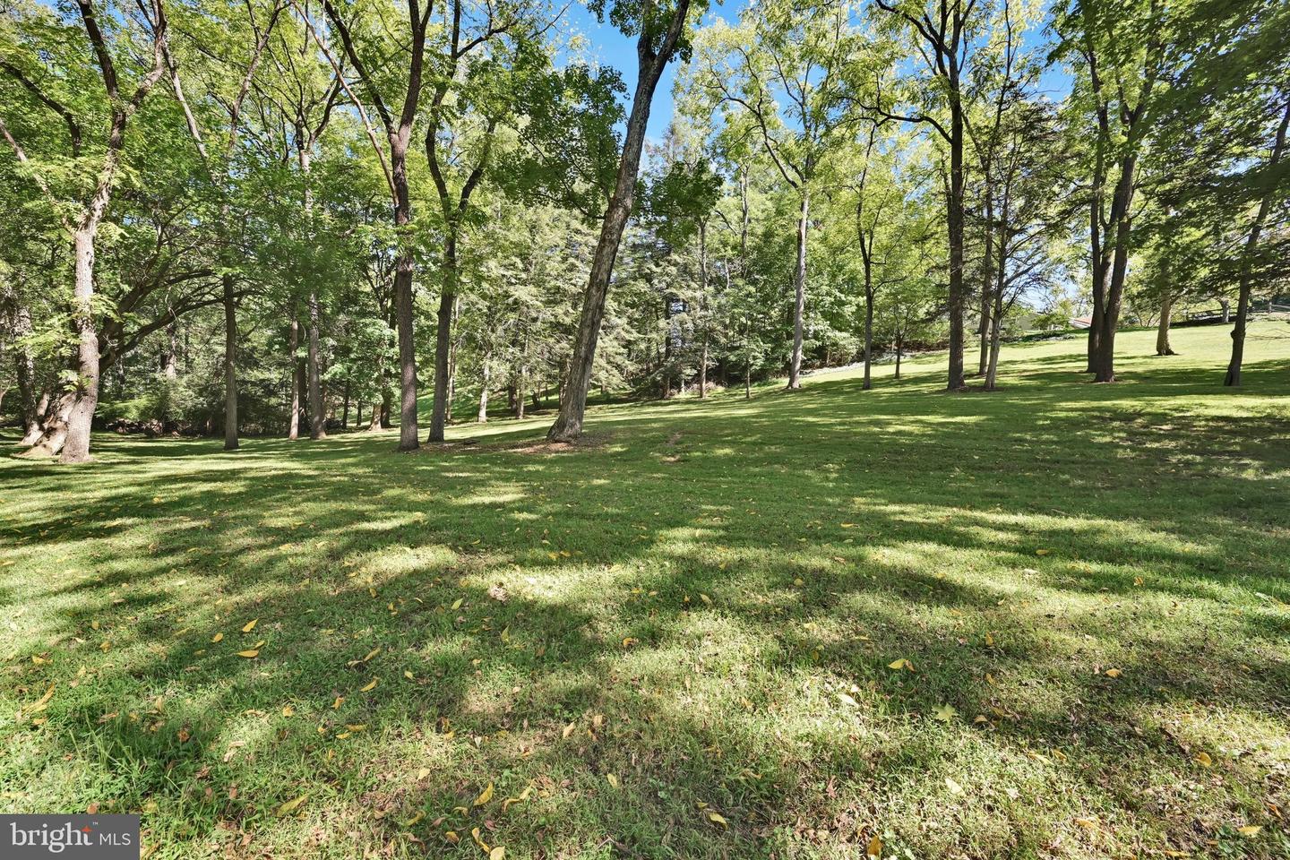 782 Mount Penn Rd Property Photo 102