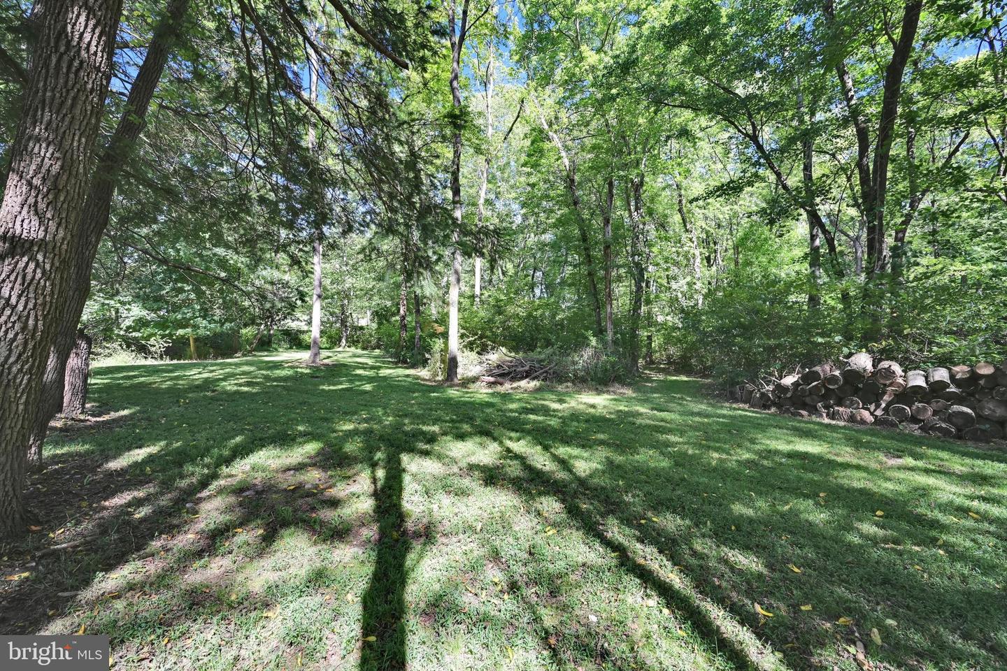 782 Mount Penn Rd Property Photo 103