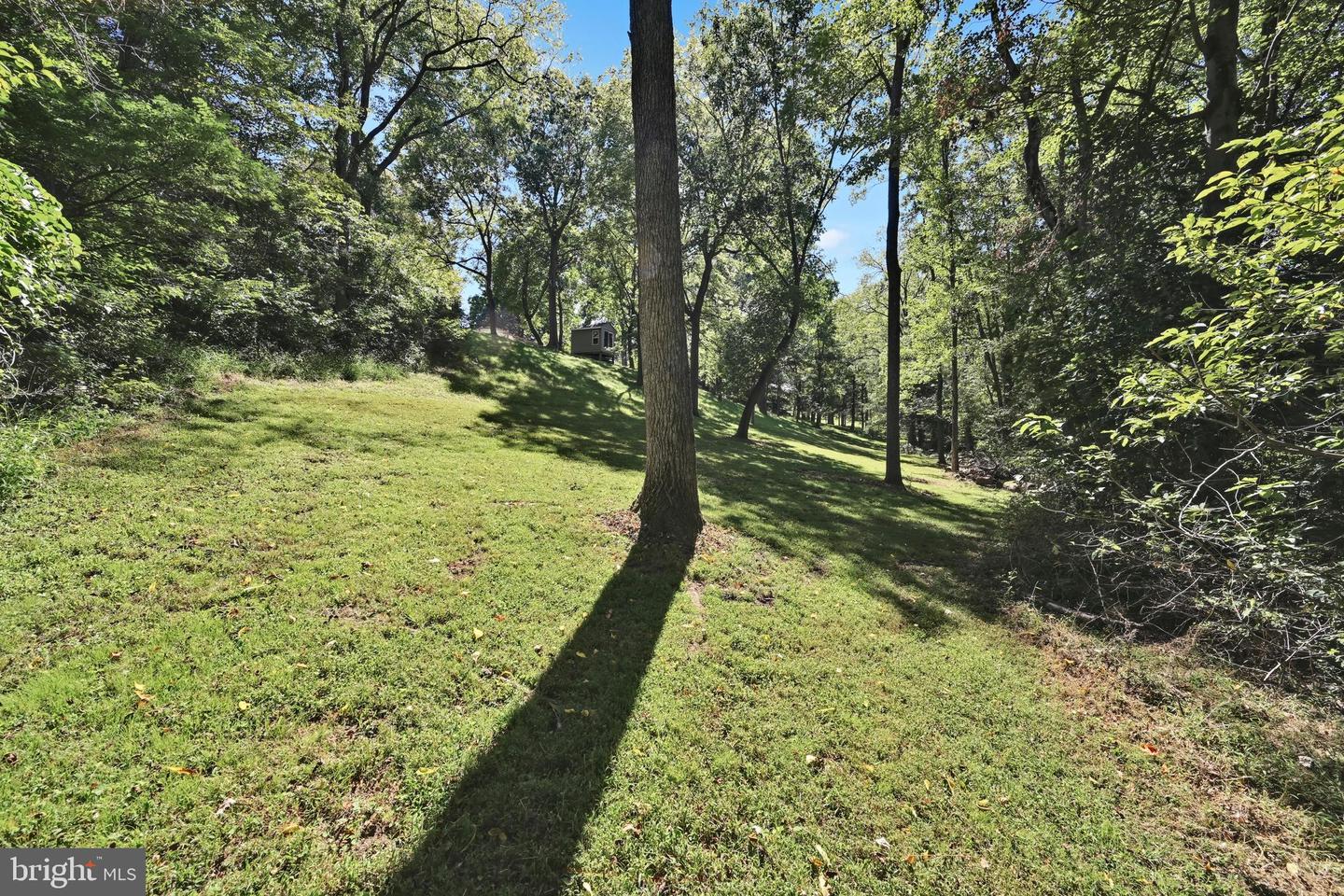 782 Mount Penn Rd Property Photo 104