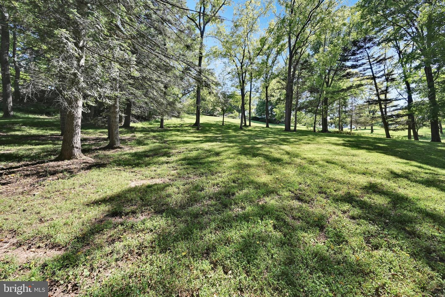 782 Mount Penn Rd Property Photo 105