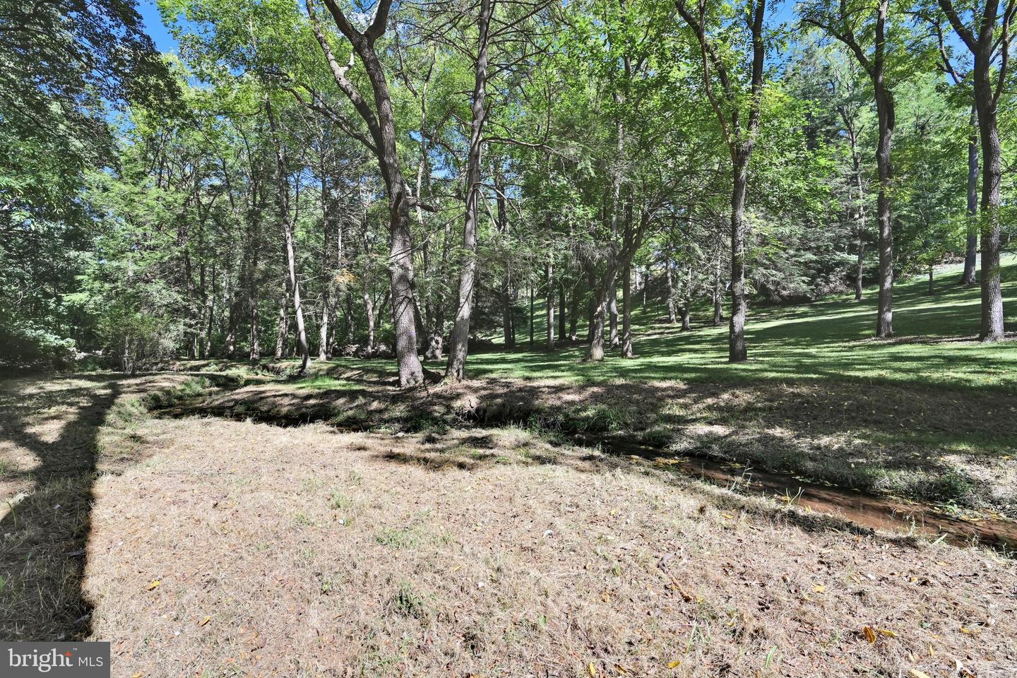 782 Mount Penn Rd Property Photo 109