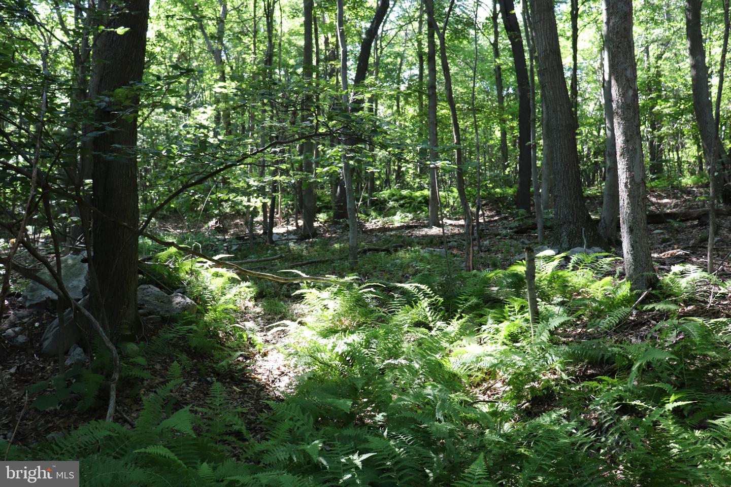 Lot 312 Ridge Run Property Photo 1
