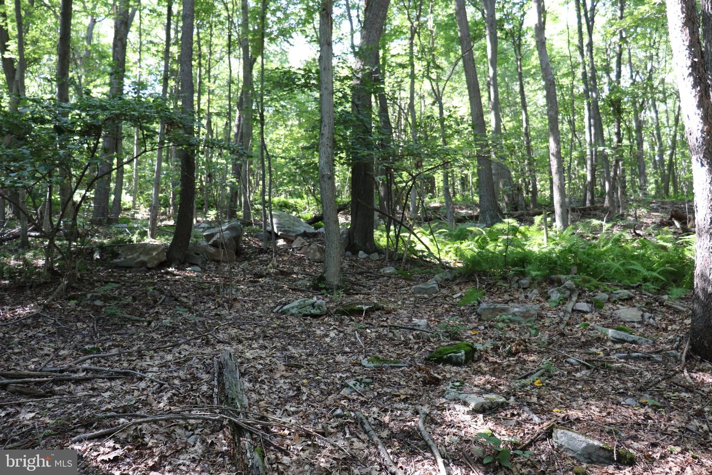 Lot 312 Ridge Run Property Photo 3
