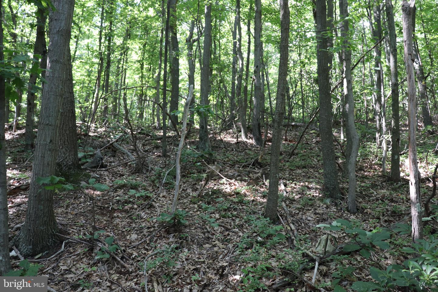 Lot 312 Ridge Run Property Photo 4