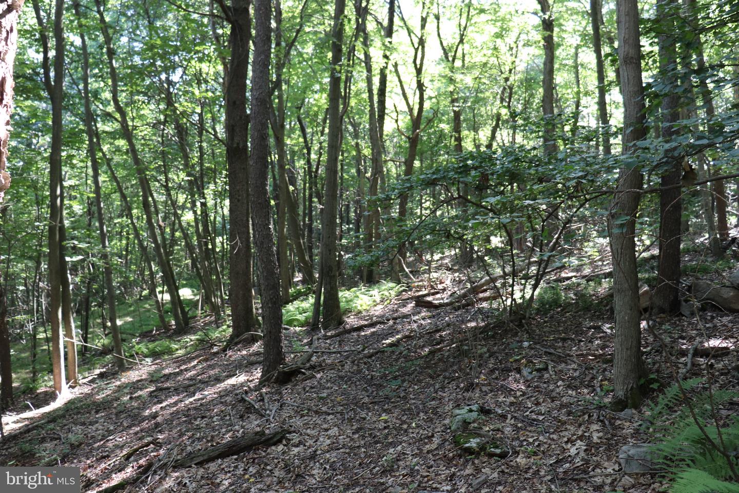 Lot 319 Ridge Run Property Photo 1