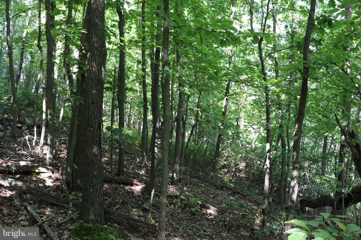 Lot 320 Ridge Run Property Photo 1